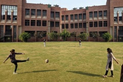 PXL_20231027_093500265-copy